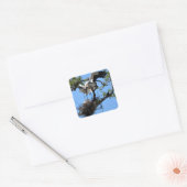 Hout Stork nesting Vierkante Sticker (Envelop)