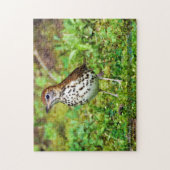 Hout Thrush Bird Puzzle Legpuzzel (Verticaal)