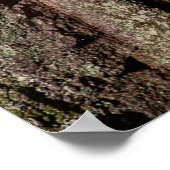 Hout van eikenhout poster (Hoek)