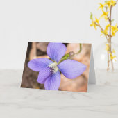 Hout Violet Wildflower Notecard Kaart (Gele Bloem)