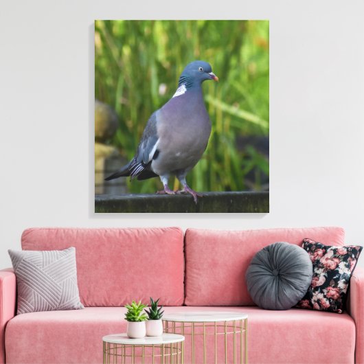 Houtduif Canvas Afdruk (Insitu (Woonkamer))