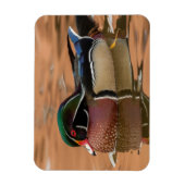 Houteenden zwemmen in water magneet (Verticaal)