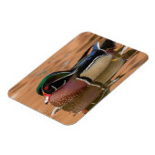 Houteenden zwemmen in water magneet (Linkerzijde)