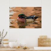 Houteenden zwemmen in water poster (Keuken)