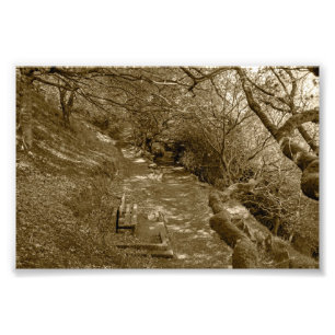 Houten bank in Allan Park, Sowerby Bridge Foto Afdruk