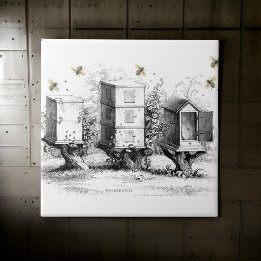 Houten bijenkorven Bijenhouden Zwart Beige | Tegeltje