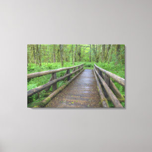 Houten brug op het Maple Glade pad, varens en Canvas Afdruk