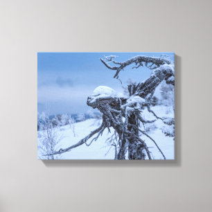 Houten buitenaardse winter canvas afdruk