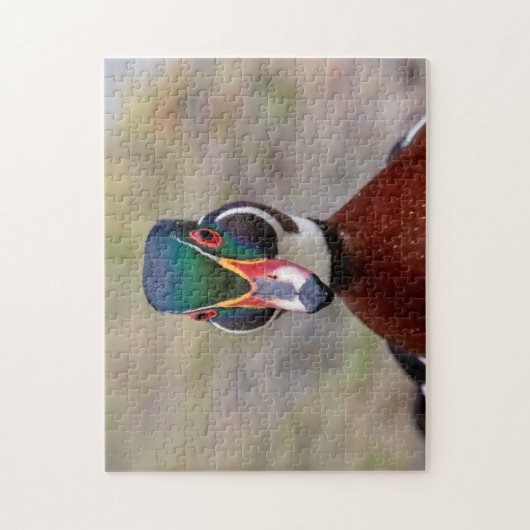 Houten Eend Legpuzzel (Verticaal)