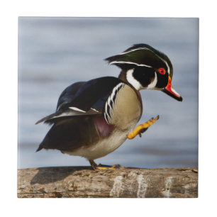 Houten eend op stam in wetland tegeltje