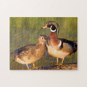 Houten eenden en vrouwtje op stam in wetland legpuzzel