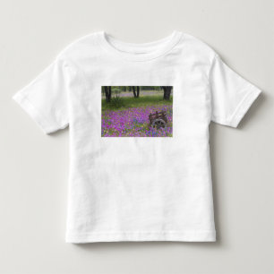 Houten kar in veld van Phlox, Blauwe Bonnets met Kinder Shirts