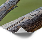 houten kruiskop poster (Hoek)