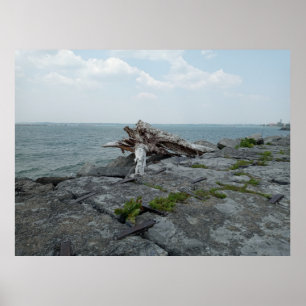 Houten Meermonstersculptuur Poster