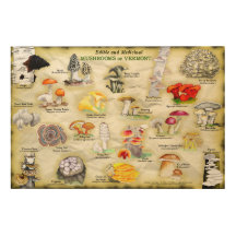 Houten muur kunst paddenstoelen van Vermont