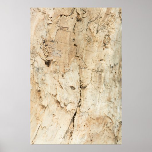 Houten patroon poster (Voorkant)