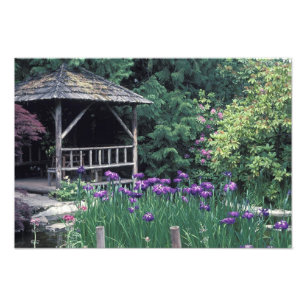 Houten paviljoen in de Sunken Garden in Foto Afdruk