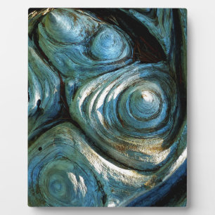 Houten Spiralen Fotoplaat