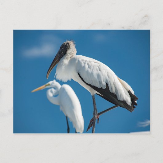 Houten Stork Briefkaart (Voorkant)