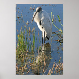 Houten Stork Poster