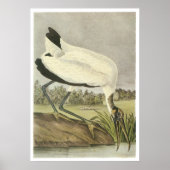 Houten Stork Poster (Voorkant)
