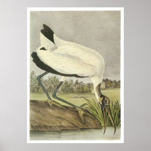 Houten Stork Poster