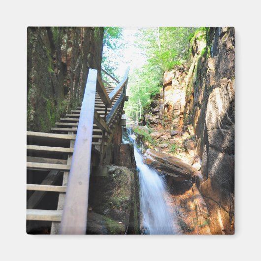 Houten Walkway Waterfall Flume Gorge NH Magnet Magneet (Voorkant)