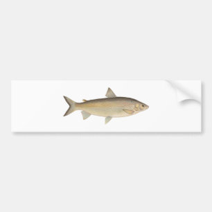 Houting Bumpersticker
