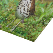 Houtspruitstuk met decoratief glas snijplank (Hoek)