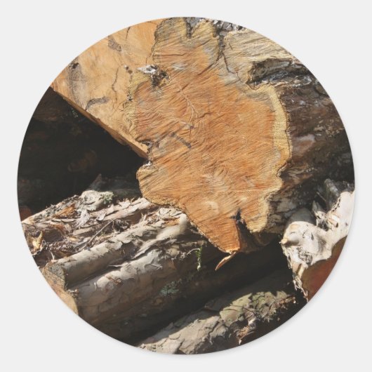 Houtstammen Stickers (Voorkant)