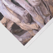 houtwapier voor de sculptuur van hout tissuepapier (Detail)