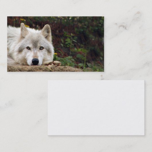 Houtwolstaart Visitekaartje (Voorkant / Achterkant)