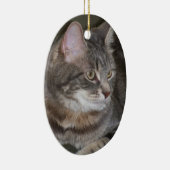 Houx observant quelque chose ornement (Droite)