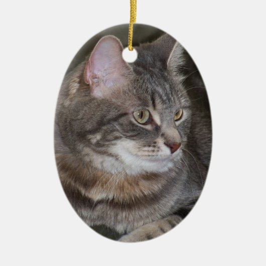 Houx observant quelque chose ornement (Devant)