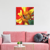 Hover Fly on Orange Collarette Dahlia Floral Canvas Afdruk (Insitu (Woonkamer))