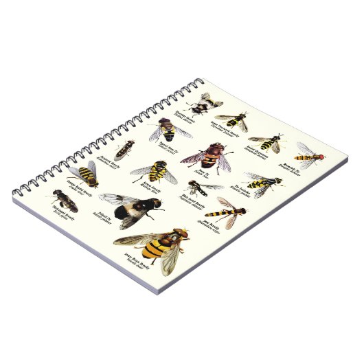 Hoverflies du R-U - carnet (Côté gauche)