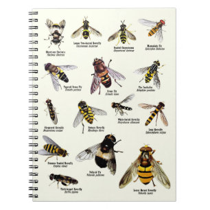 Hoverflies van het Verenigd Koninkrijk - laptop Notitieboek