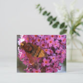 Hoverfly-Briefkaart Briefkaart (Staand voorkant)
