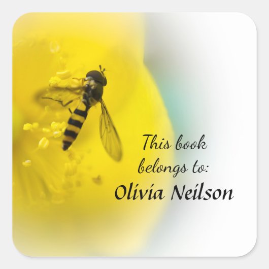 Hoverfly "Ce livre appartient à" autocollant (Devant)