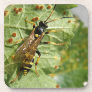 Hoverfly Cork Onderzetter