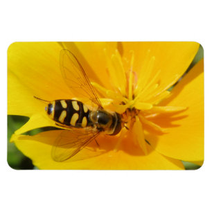 Hoverfly en Flower Premium Magnet Magneet