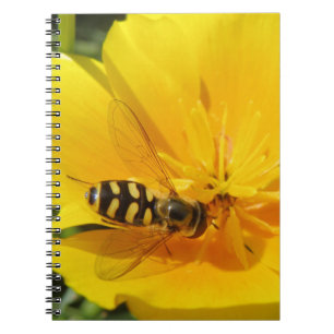 Hoverfly et Carnet aux fleurs