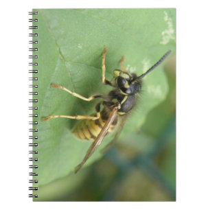 Hoverfly Macro-Notitieboek Notitieboek