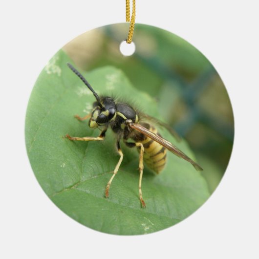 Hoverfly Macro Ornament (Voorkant)