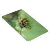 Hoverfly Macro Premium Magnet Magneet (Rechterzijde)
