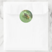 Hoverfly Macro-Stickers Ronde Sticker (Tas)