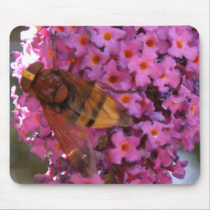 Hoverfly Mousepad Muismat