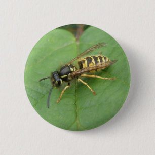 Hoverfly op een Leaf Button