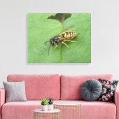 Hoverfly op een Leaf Canvas Print (Insitu (Woonkamer))