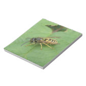 Hoverfly sur un bloc-notes feuille (Tourné)